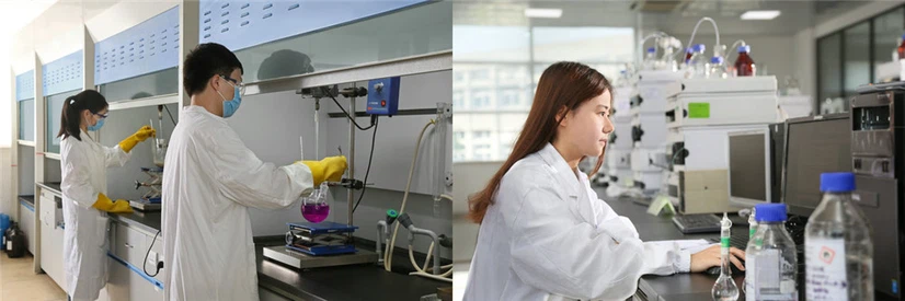 Semaglutide synthesis Semaglutide synthesis