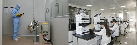 Ethyl Caprylate | Shaanxi BLOOM Tech Co., Ltd Ethyl Caprylate | Shaanxi BLOOM Tech Co., Ltd