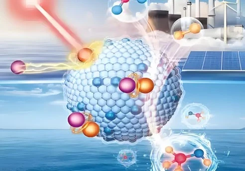 NNMTi use | Shaanxi BLOOM Tech Co., Ltd NNMTi use | Shaanxi BLOOM Tech Co., Ltd