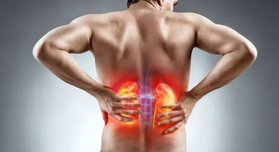 Spermidine Tablets | Shaanxi BLOOM Tech Co., Ltd Spermidine Tablets | Shaanxi BLOOM Tech Co., Ltd