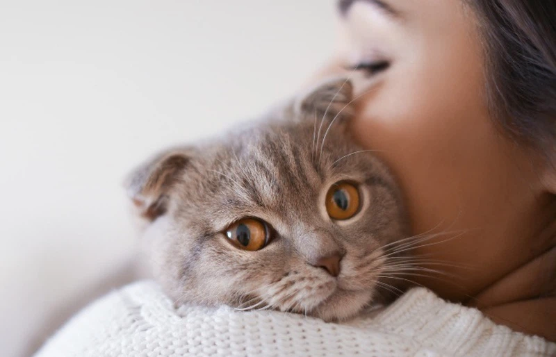 Fluralaner Drops Long-Term Pet Owner Savings | Shaanxi Bloom Tech Fluralaner Drops Long-Term Pet Owner Savings | Shaanxi Bloom Tech