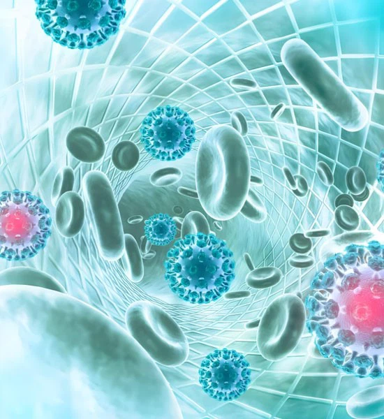 Glutathione Term | Shaanxi BLOOM Tech Co., Ltd Glutathione Term | Shaanxi BLOOM Tech Co., Ltd