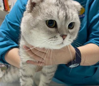 GS-441524 Online | Shaanxi BLOOM Tech Co., Ltd GS-441524 Online | Shaanxi BLOOM Tech Co., Ltd