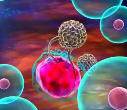 5-amino-1mq buy | Shaanxi BLOOM Tech Co., Ltd 5-amino-1mq buy | Shaanxi BLOOM Tech Co., Ltd