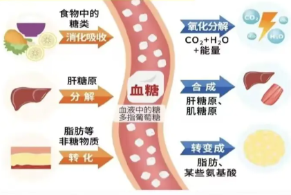 NA-931 500mcg | Shaanxi BLOOM Tech Co., Ltd NA-931 500mcg | Shaanxi BLOOM Tech Co., Ltd