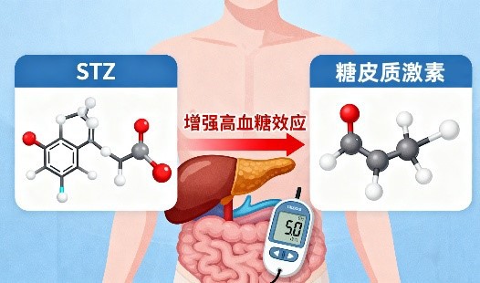 Drug Interactions And Contraindications | Shaanxi Bloom Tech Drug Interactions And Contraindications | Shaanxi Bloom Tech