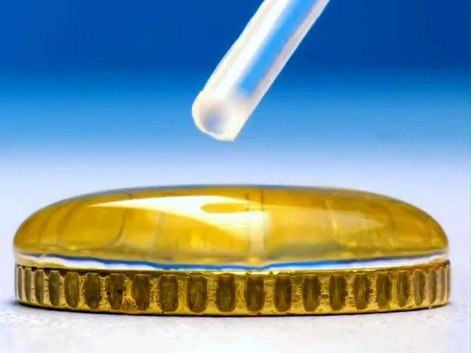Tetrabutylammonium hydrogen sulfate uses | Shaanxi BLOOM Tech Co., Ltd Tetrabutylammonium hydrogen sulfate uses | Shaanxi BLOOM Tech Co., Ltd